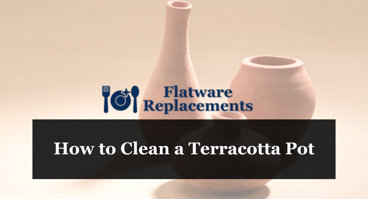 How to Clean a Terracotta Pot